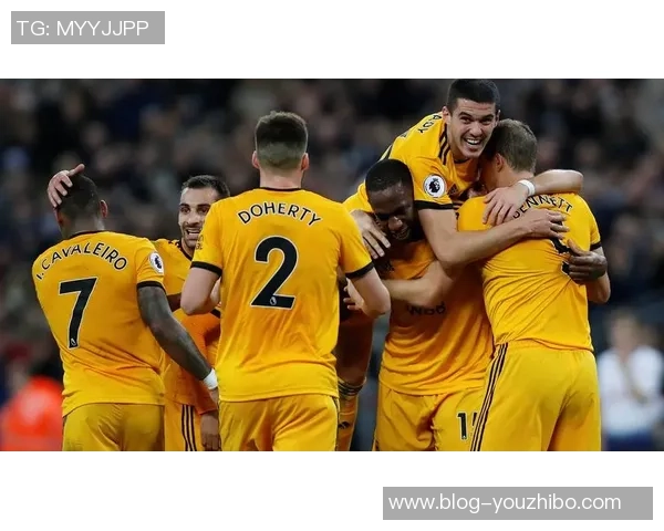 加的夫城与狼队激战正酣谁能在英超赛场上笑到最后